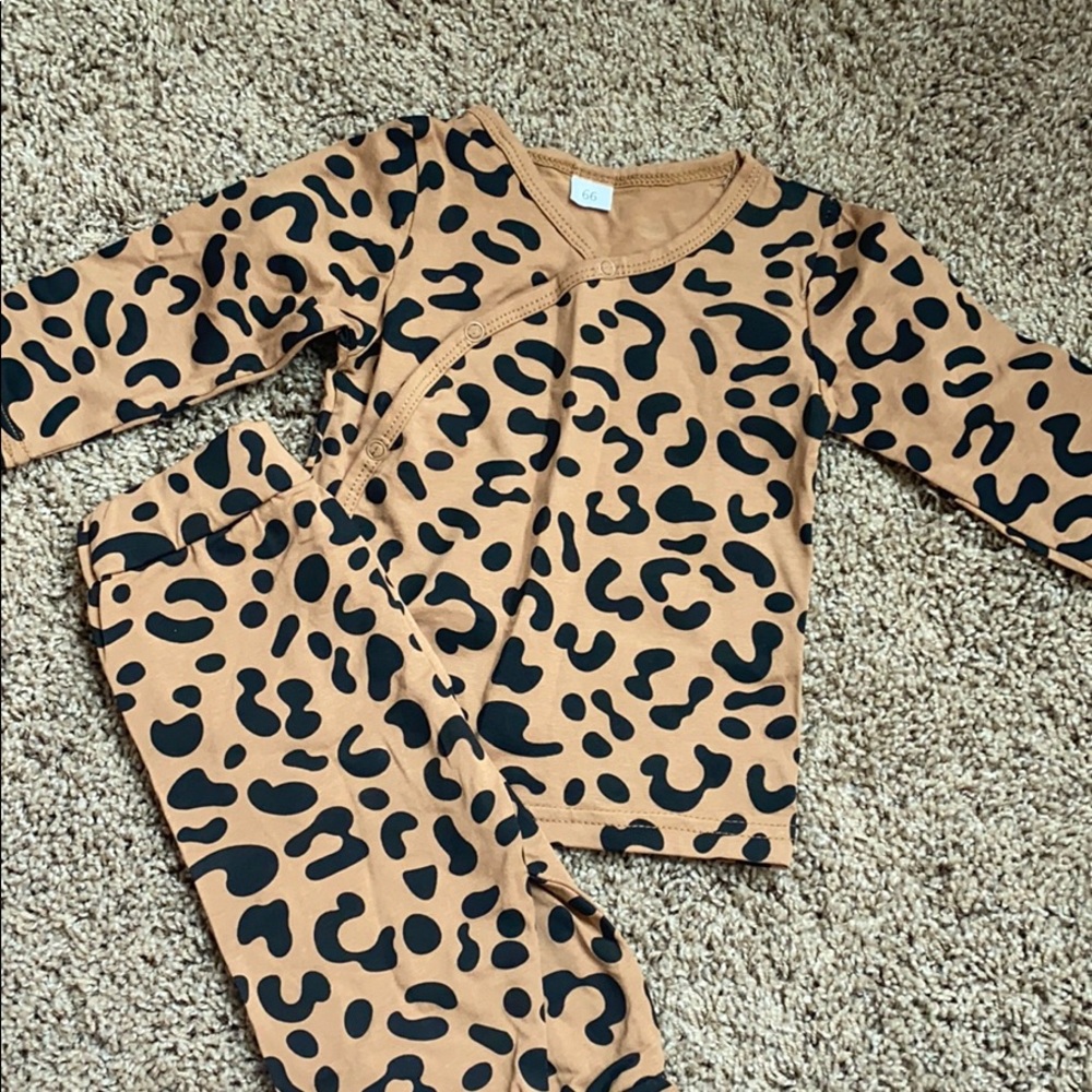 Cheetah set